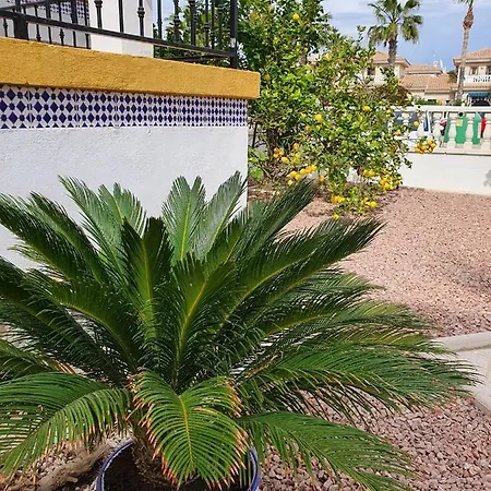 Spacious Ground Floor With Garden & Communal Pool Apartment
